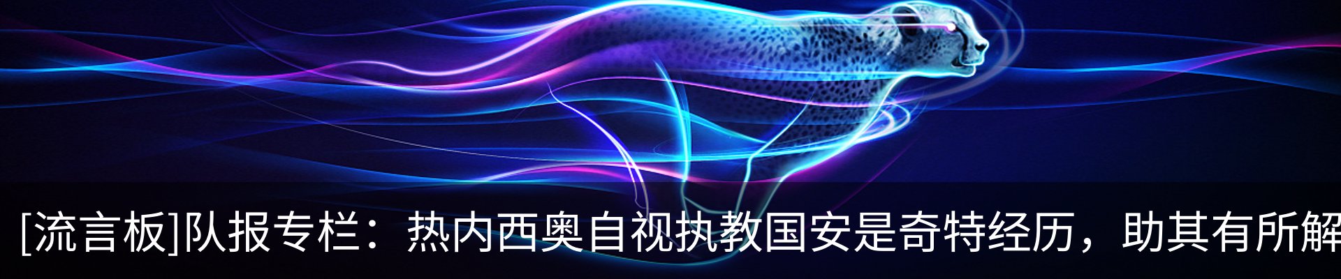 新闻动态